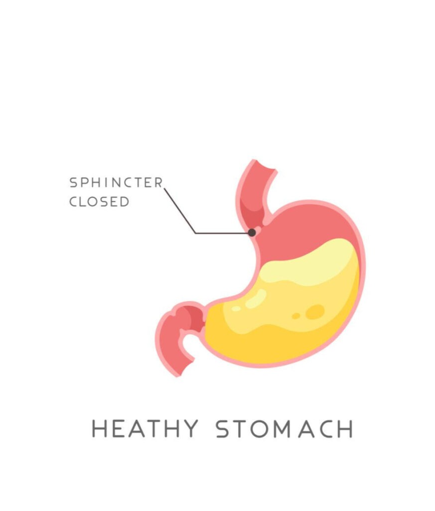 A diagram explaining how Vitamin B12 is absorbed in the stomach via intrinsic factor. It also displays common supplement forms, including methylcobalamin and cyanocobalamin in tablet and sublingual spray formats.