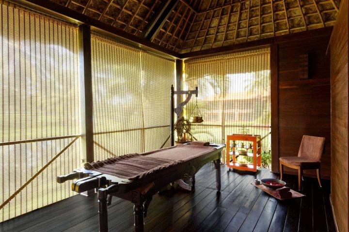 ayurvedic wellness center alm and natural therapy environment at an ayurvedic wellness center