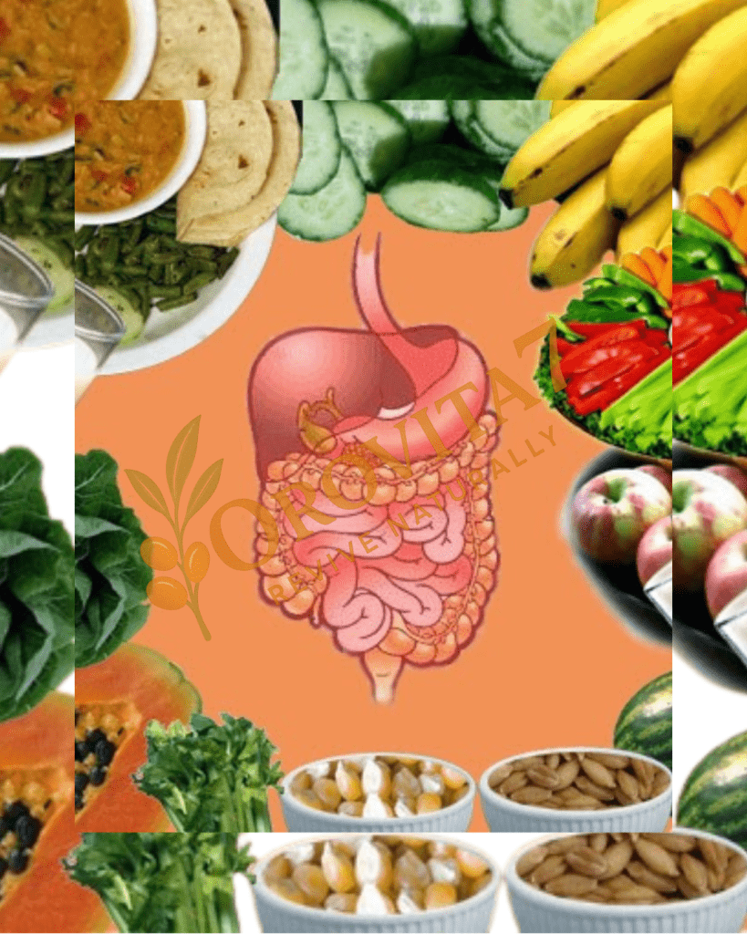 A central illustration of the human digestive system surrounded by images of fiber-rich foods like cucumbers, bananas, and grains to support smooth digestion.