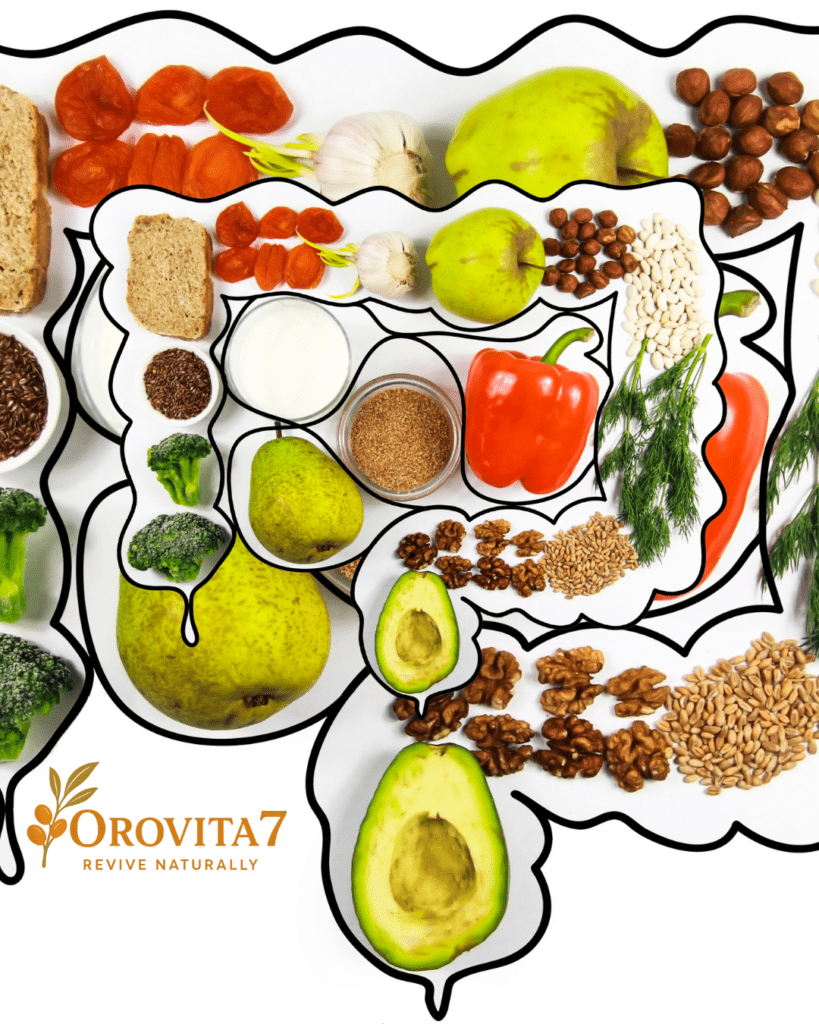 A graphic outline of the human colon filled with nutrient-dense foods like avocado, walnuts, and pears to promote efficient digestion.