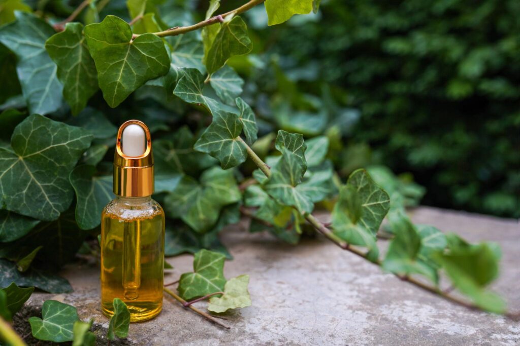 Expensive lifestyle concept showing luxury products and elegant design