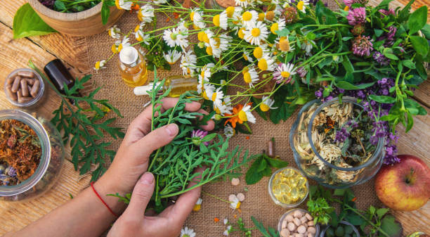 Ayurvedic Wellness concept with natural herbs, spices, and traditional healing ingredients