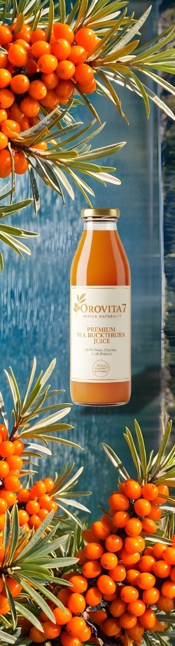 A glass bottle of Orovita7 Premium Sea Buckthorn Juice centered against a blue background, surrounded by vibrant orange sea buckthorn berries and silvery-green leaves. The label highlights that the juice is 100% pure, organic, and cold-pressed, often used as a natural supplement to support digestion and overall wellness. indigestion