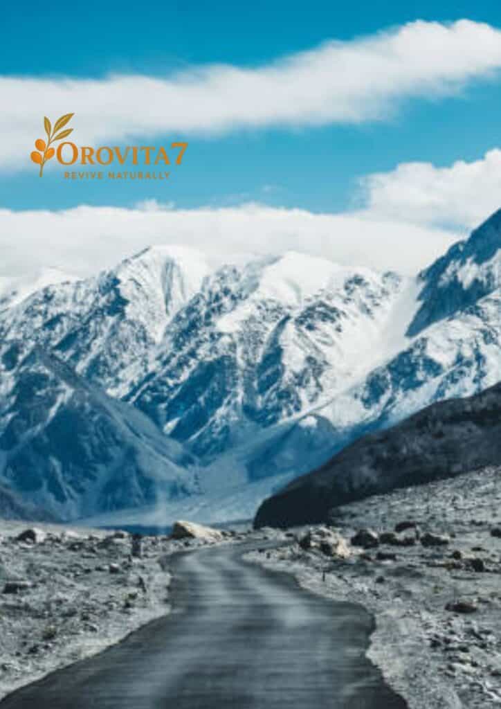 A winding asphalt road leading toward massive snow-covered mountain peaks under a blue sky, featuring the OroVita7 brand logo in the upper left.