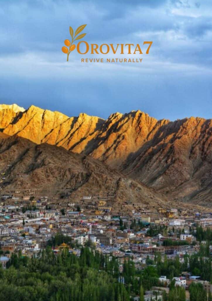 An aerial view of a Ladakh village nestled in a green valley at the foot of rugged, golden-lit mountains, branded with the OroVita7 logo.