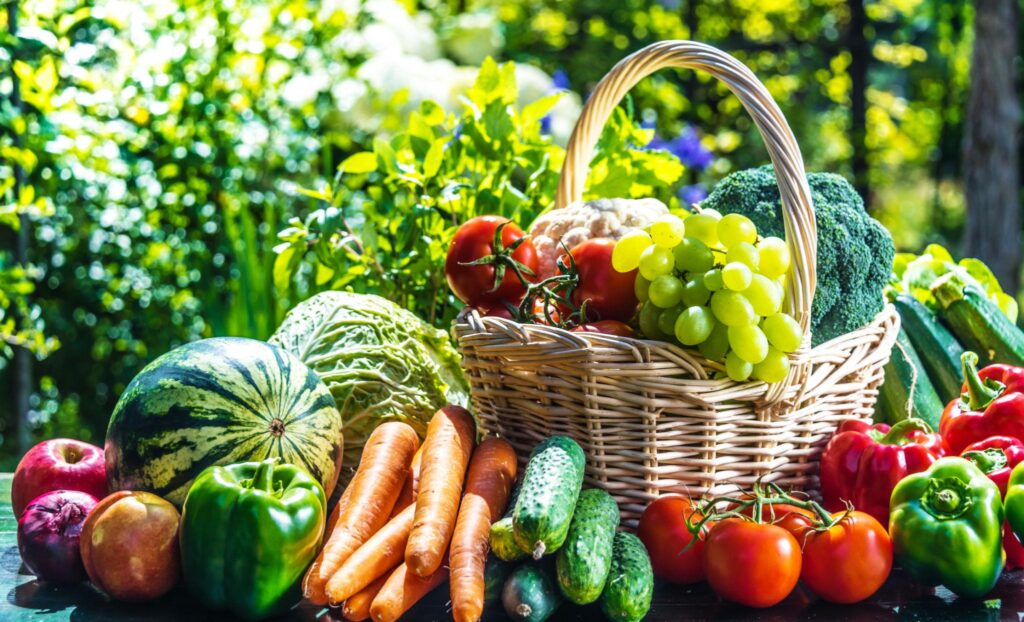 Basket filled with fresh organic fruits and vegetables including carrots, tomatoes, grapes, broccoli, and bell peppers displayed outdoors in natural sunlight, representing healthy and sustainable living