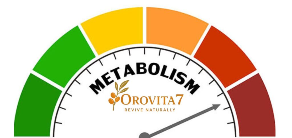 A graphic representation of a metabolism speedometer with a needle pointing toward the high-performance red zone, branded with the OroVita7 Revive Naturally logo.