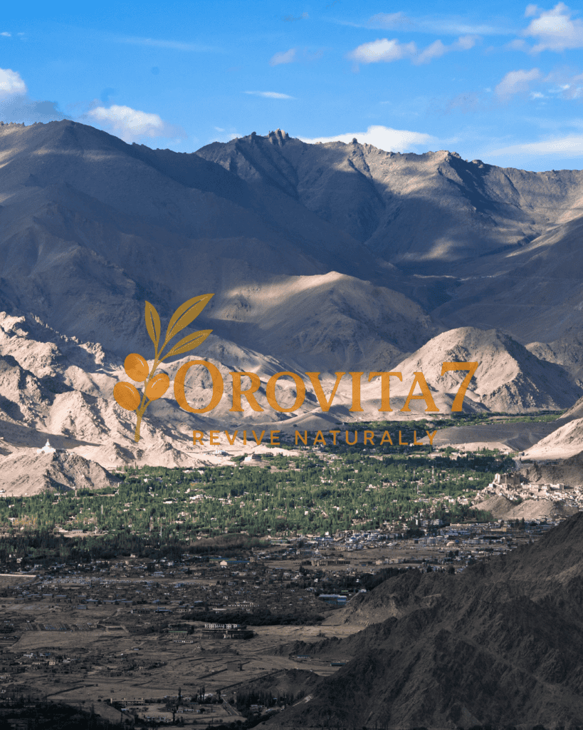 Vibrant Tibetan prayer flags fluttering in front of a turquoise high-altitude lake and barren mountains in Ladakh, featuring the OroVita7 Revive Naturally logo.