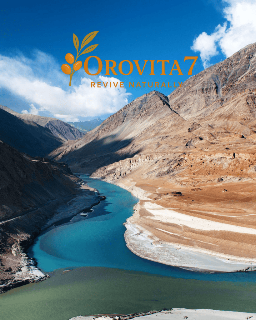 A winding asphalt road leading toward massive snow-covered mountain peaks under a blue sky, with the OroVita7 brand logo in the upper left.