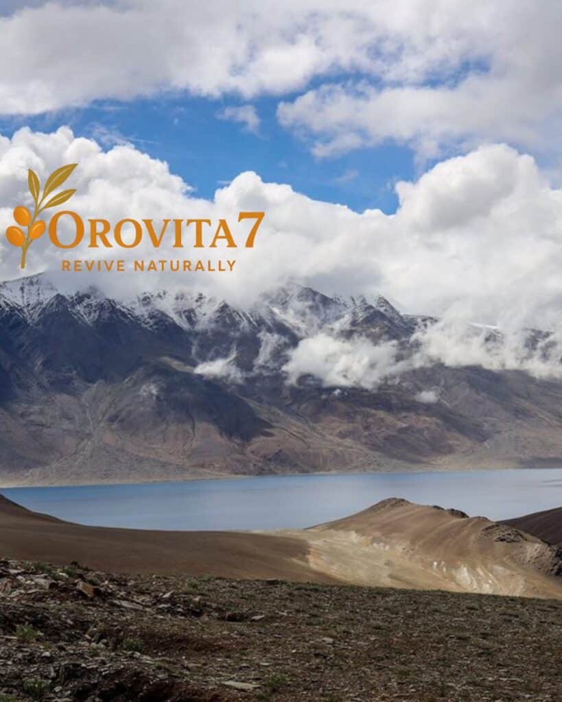 A crystal-clear reflection of sun-drenched Himalayan mountains in a still pool of water at dusk, with the OroVita7 logo positioned at the bottom center.