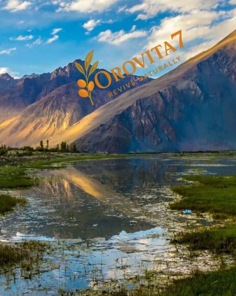 An aerial view of a Ladakh village nestled in a green valley at the foot of rugged, golden-lit mountains, branded with the OroVita7 logo.