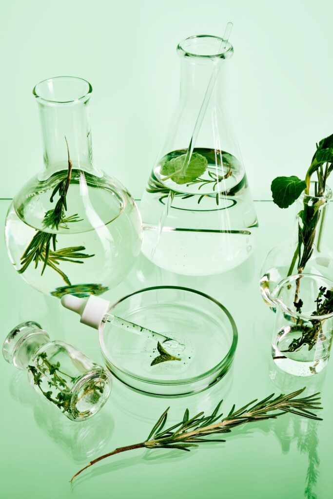 A top-down view of laboratory flasks, a petri dish, and beakers filled with clear liquid and fresh herbs like rosemary and mint, featuring a glass dropper over a petri dish on a pale green surface. photochemicals