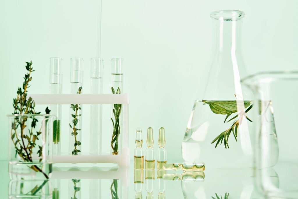 Heart-Shaped Bowl of Nutrient-Dense Superfoods photochemicals