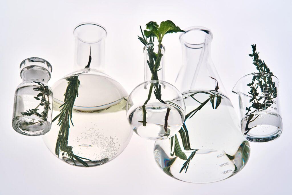 Various glass flasks and beakers containing clear water and sprigs of thyme and rosemary, arranged as if floating against a bright, clean white background.