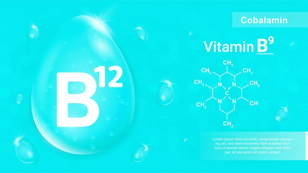 A circular infographic titled "Benefits of Vitamin B12" featuring five colorful icons. Benefits listed include keeping the body's blood and nerve cells healthy, helping make DNA, preventing megaloblastic anemia, boosting energy and metabolism, and supporting skin, hair, and nails.