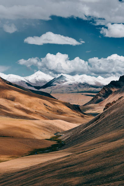 “Raw Ladakh Himalayan terrain with snow peaks and valleys – natural habitat of sea buckthorn berries”