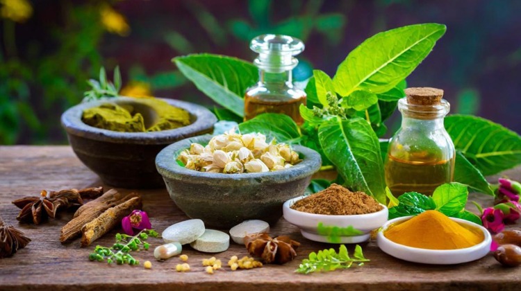 Natural herbs and Ayurvedic ingredients displayed at an Ayur Wellness Center for holistic health treatments