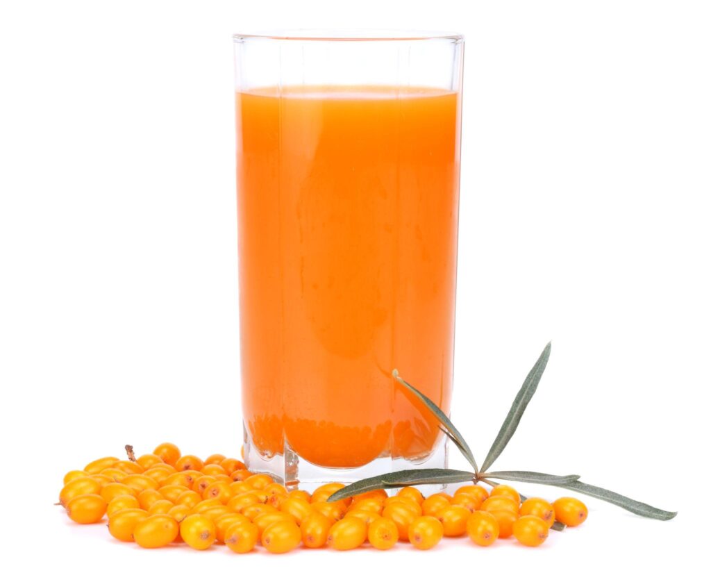 Sea Buckthorn How to Use image with fresh sea buckthorn berries and juice
