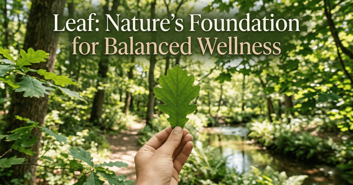 A person's hand holding a single vibrant green oak leaf against a blurred background of a lush forest and a peaceful stream, featuring the text "Leaf: Nature’s Foundation for Balanced Wellness."