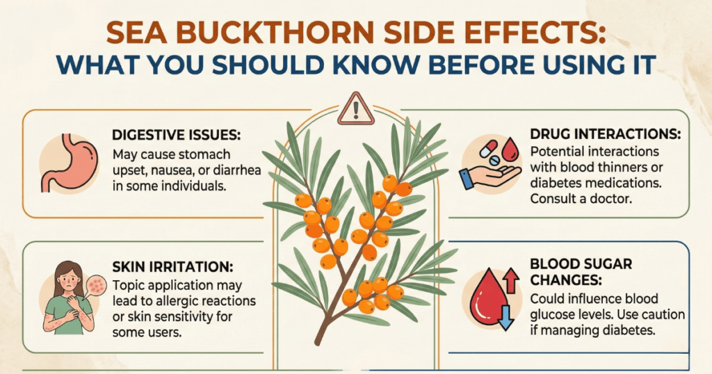 An infographic titled "Sea Buckthorn Side Effects: What You Should Know Before Using It" featuring a central illustration of a sea buckthorn branch and four panels detailing digestive issues, drug interactions, skin irritation, and blood sugar changes.
