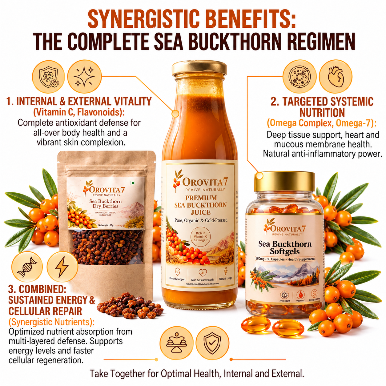 Sea Buckthorn Fitness Recovery Combo | Natural Wellness Support - Image 2